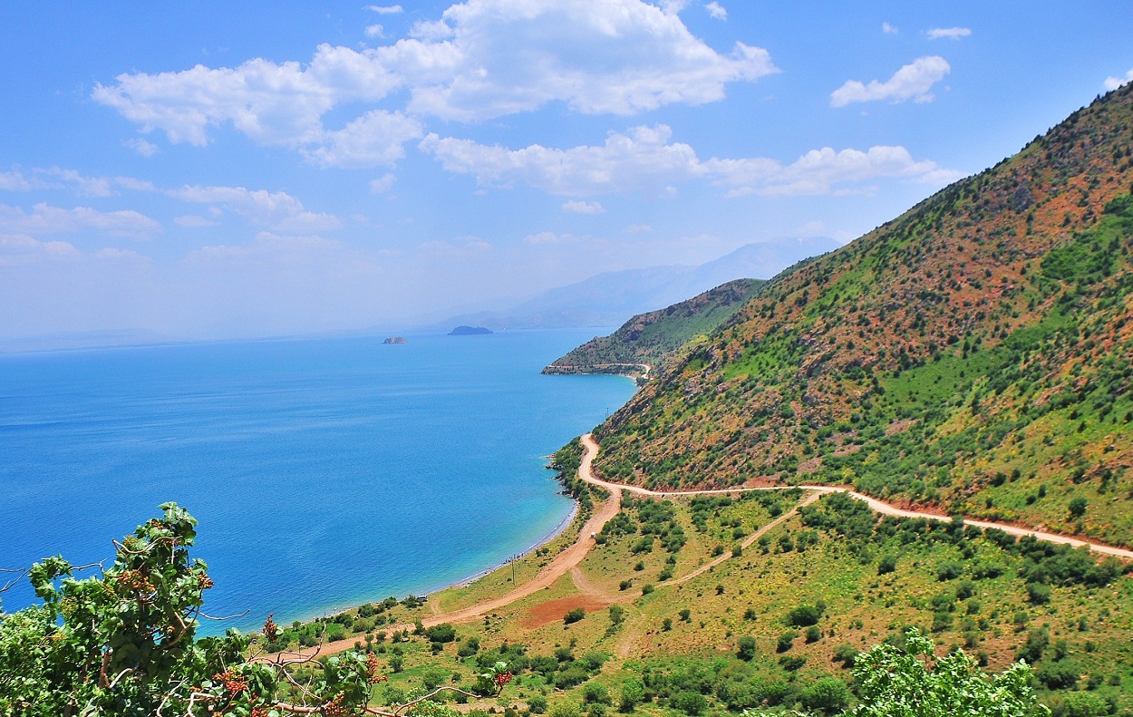 Tarihe Vefa