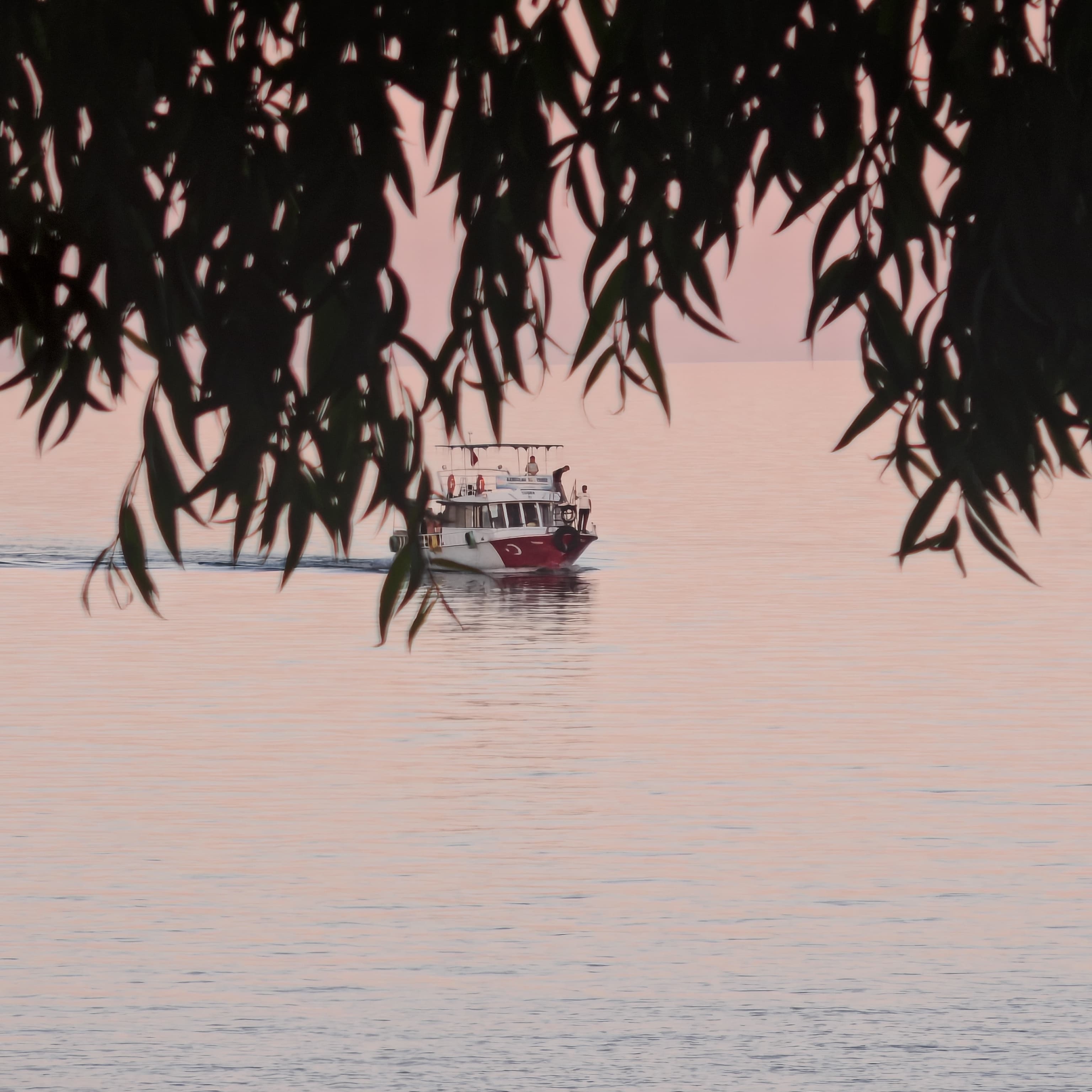 Türk Dünyası